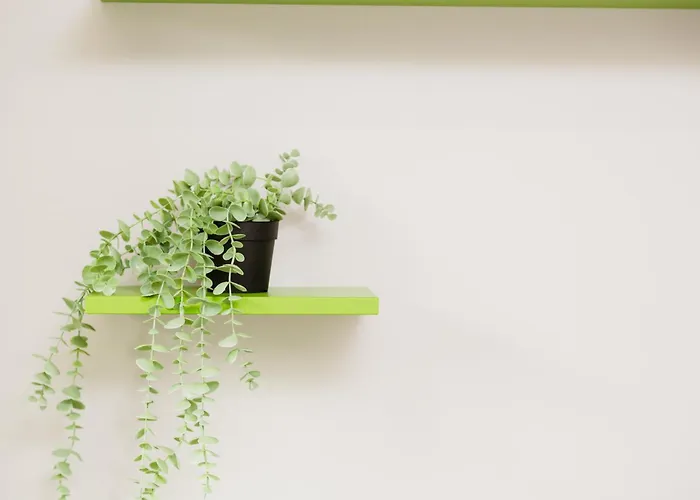 Sofia 5, For Couples -by Easylife Swiss Daire Lugano