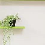 Sofia 5, For Couples -by Easylife Swiss Апартаменты Лугано